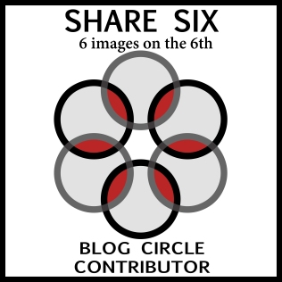 1-contributor badge